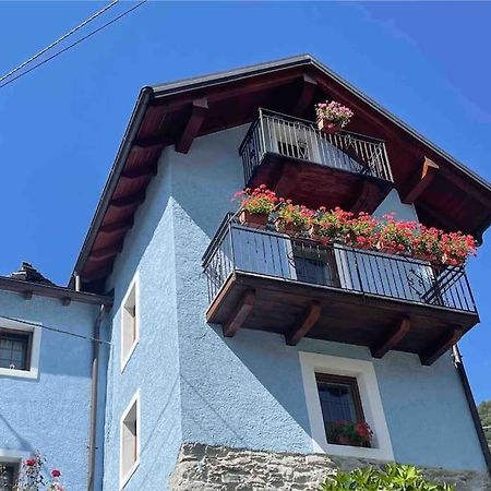Casa Del Cios Calda E Intima Casetta Immersa Nel Verde Delle Montagne Alpe Basciumo Exterior photo