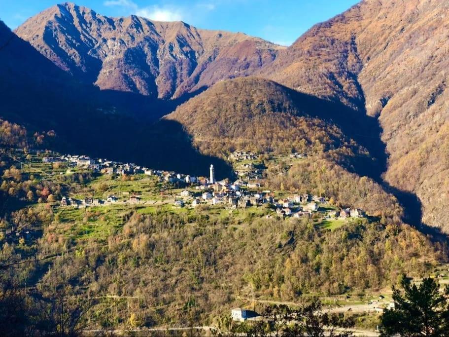 Casa Del Cios Calda E Intima Casetta Immersa Nel Verde Delle Montagne Alpe Basciumo Exterior photo