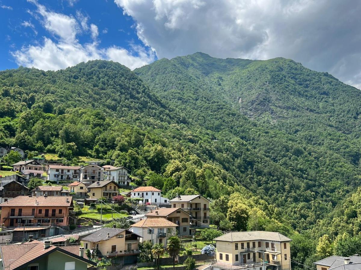Casa Del Cios Calda E Intima Casetta Immersa Nel Verde Delle Montagne Alpe Basciumo Exterior photo
